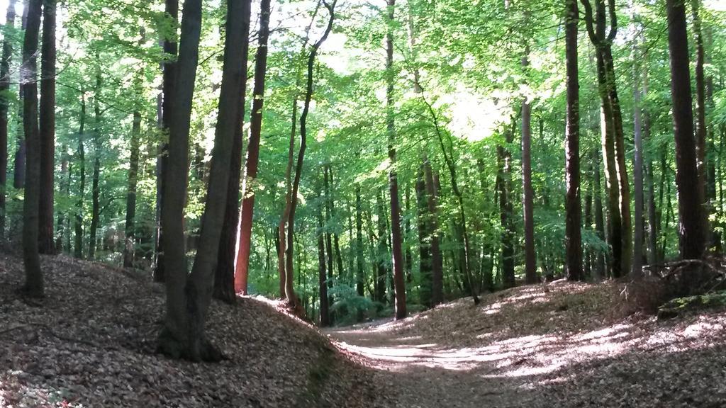 Hotel Garni Nussbaumhof Uckeritz Esterno foto
